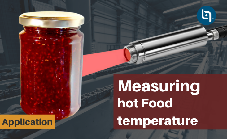 Measuring Hot Food Temperature