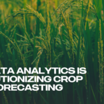 How Data Analytics Is Revolutionizing Crop Yield Forecasting